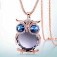 thumbnail image 2 of Guodhu Dainty Crystal Owl Necklace Long Sweater Chain Rhinestone Owl Bird Necklace Pendant for Women, 2 of 2