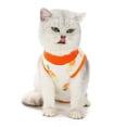 thumbnail image 1 of Cat Recovery Suit Breathable Prevent Lick After Surgery Wear Cotton Recovery Body Wraps Kitten Recovery Clothes M, 1 of 1