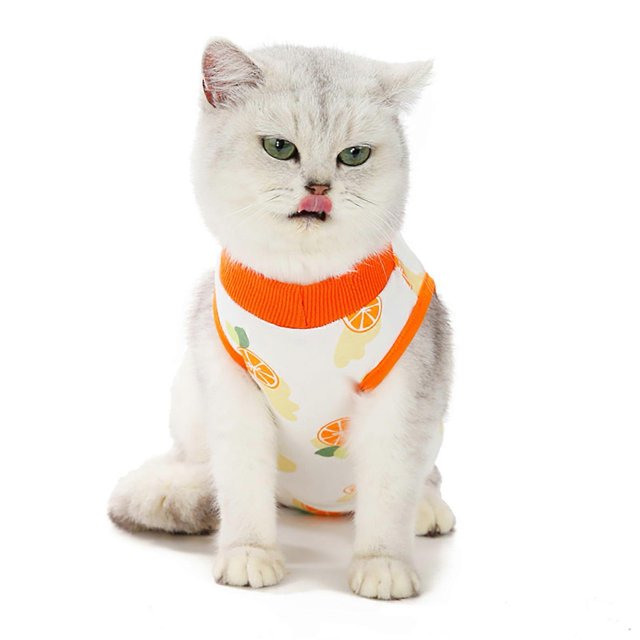 Cat Recovery Suit Breathable Prevent Lick After Surgery Wear Cotton Recovery Body Wraps Kitten Recovery Clothes M