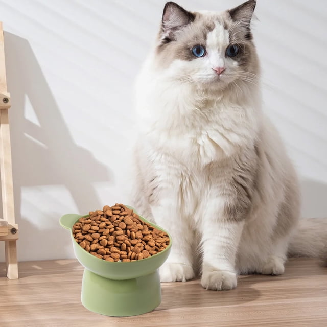 Comedero para Gatos Verde, Grande, de Plástico | Protección para El Cuello | 13 X 12,7 X 10,3 Cm | Capacidad: 250 Ml | Base Antivuelco | Fácil de Limpiar