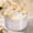 Clear Gold, variant on 144 Pc Small Disposable Gold and White Plastic Dessert Plates Set with 72 Forks 7.5" for Parties and Events