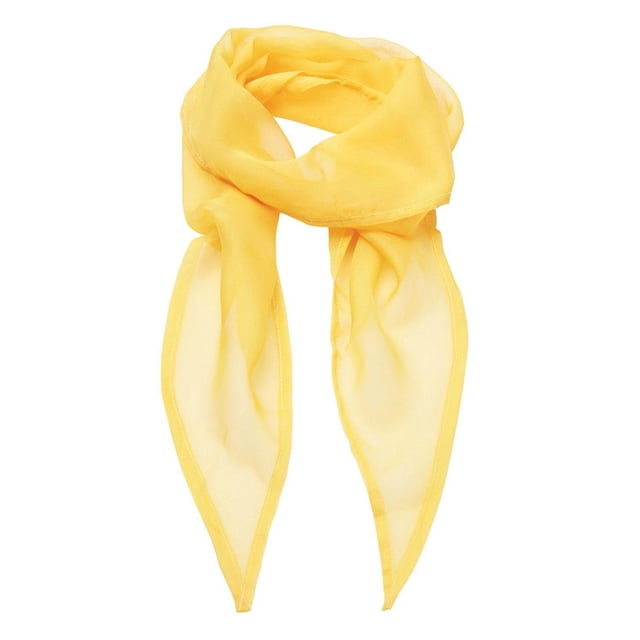 Premier Écharpe en Chiffon pour Femmes