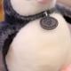 thumbnail image 3 of Muñeco de peluche HUOGUO, pingüino, peluche, cojín para niños, 25 cm, 3 of 4