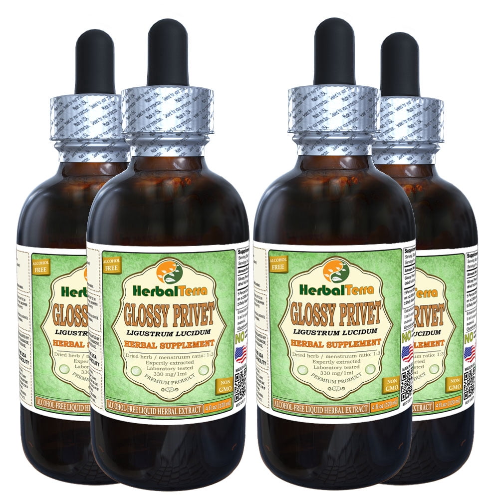 Glossy Privet (Ligustrum Lucidum) Glycerite, Organic Dried Fruits ...