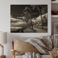 thumbnail image 2 of Designart "Black Beauty Maui s Stunning Cityscape I" Cityscapes Print on Natural Pine Wood, 2 of 5