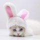 thumbnail image 4 of JANDEL 1 gorro adorable para mascota, divertido gorro con orejas de conejo para gato, perro, conejo, accesorios de fiesta para disfraz, gorro para gato, gatito, cachorro, mascota, materiales seguros, 4 of 8
