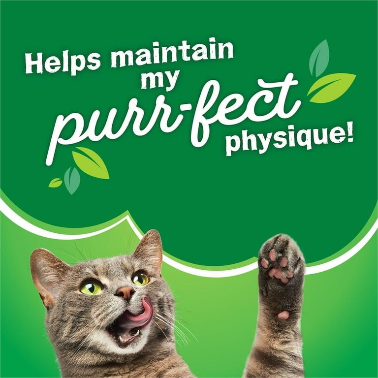 Friskies Purina Indoor Dry Cat Food Indoor Delights Walmart