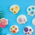 thumbnail image 4 of 40 piezas de conchas de vieira naturales de 1,4 a 2,4 pulgadas, pequeñas conchas marinas blancas para manualidades, conchas a granel., 4 of 5