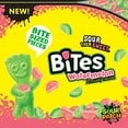 thumbnail image 4 of SOUR PATCH KIDS Bites Watermelon, Soft & Chewy Candy, 12 oz (Pack of 12), 4 of 7