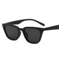 thumbnail image 1 of LLC Black Polarized Small Frame Sunglasses for Men and Women, 1 of 5