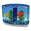 Penn-Plax Twin Betta Bow-Front Kit for Aquarium Blue, Green, Tank is 7.5" Across The Front, 6" Across The Back