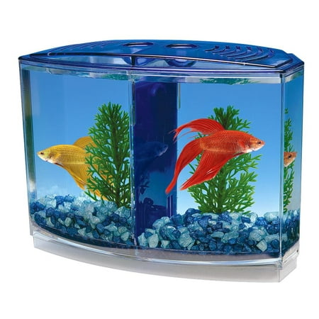 Penn-Plax Twin Betta Bow-Front Kit for Aquarium Blue, Green, Tank is 7.5" Across The Front, 6" Across The Back
