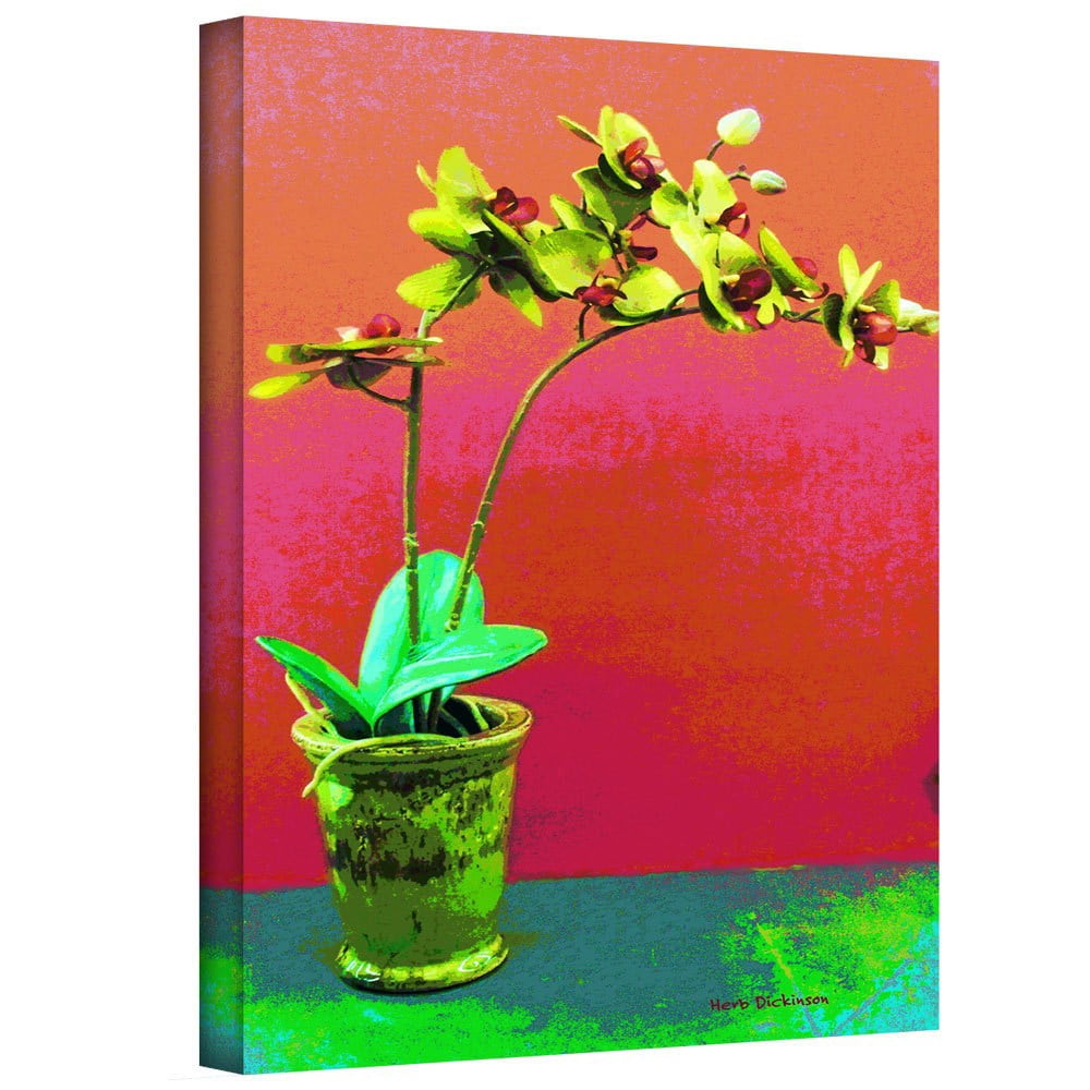 ArtWall Herb Dickinson "Orchid Opus" Gallery-Wrapped Canvas Art