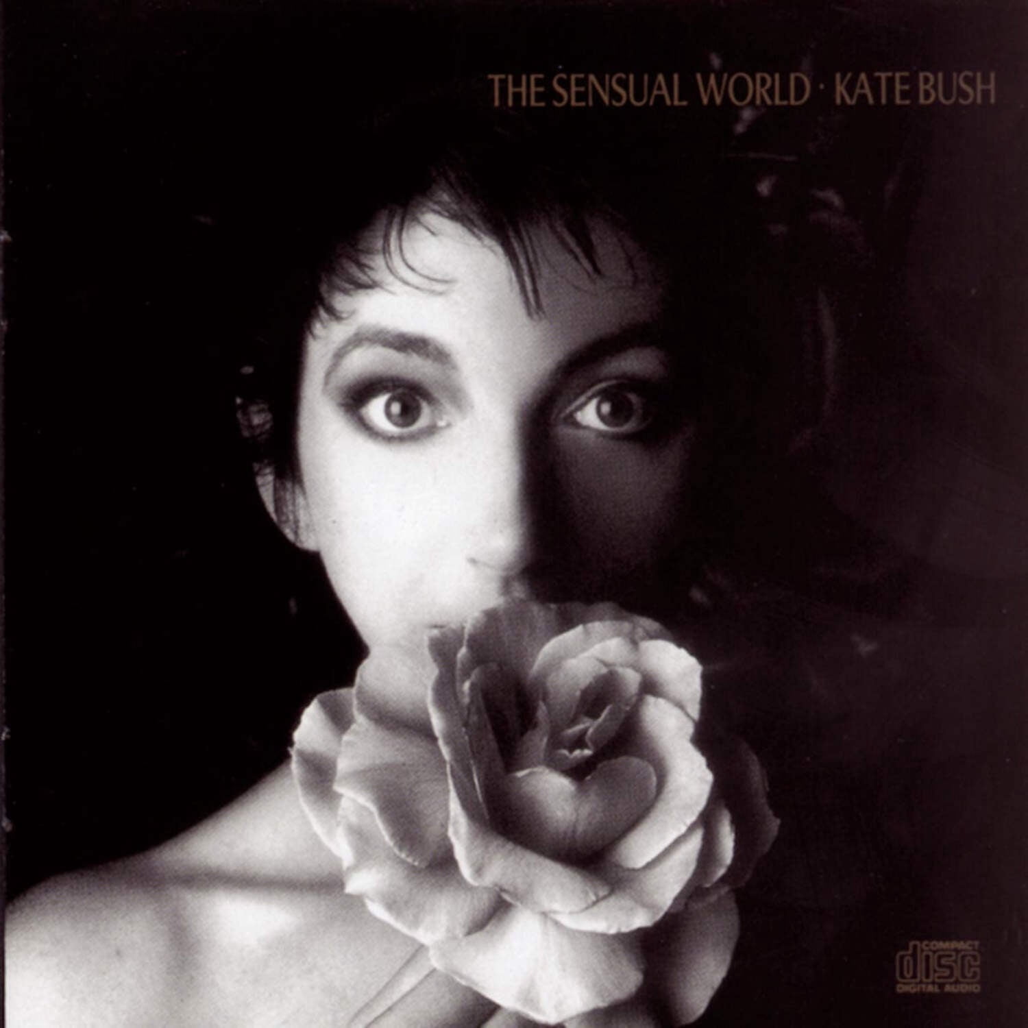 Kate Bush - Sensual World - 2018 Remaster 180gm Ash Grey Vinyl Indie Edition - Music & Performance