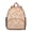 Citrus-13, variant on Mandala Meditation Students Backpack - Psychedelic Trippy Style with Colorful Geometric Abstract Pattern, Lightweight Water-Resistant Oxford Fabric for School and Travel