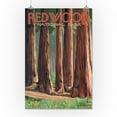 thumbnail image 2 of Redwood National Park, Forest Grove in Spring (16x24 Giclee Gallery Art Print, Vivid Textured Wall Decor), 2 of 3