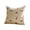 Beige-020, variant on Easter Rabbits Throw Pillow Covers, 18x18 Inch Set of 2 Easter Couch Throw Pillow Covers Bunny Decorations for Indoor, Outdoor