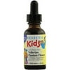 Eclectic Institute Inc Valerian Passion Flower, Kid 1 OZ