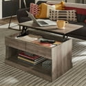 Hillsdale Brindle Rectangular Lift Top Coffee Table