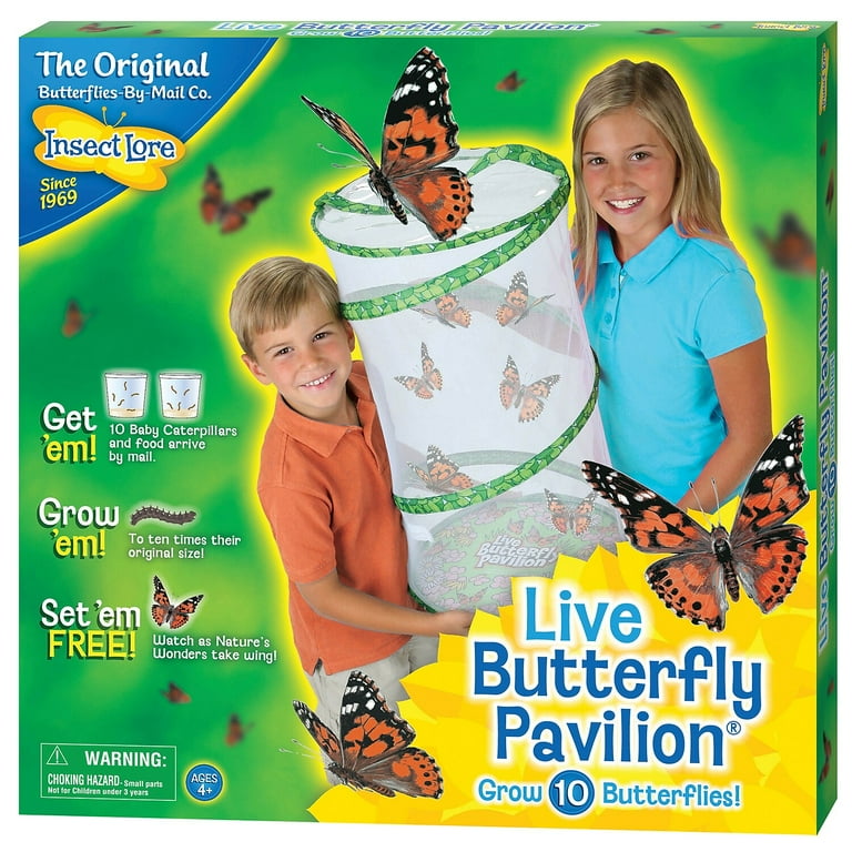 Insect Lore Butterfly Pavilion - Large Habitat Hatching Kit With Voucher  For 10 Caterpillars 