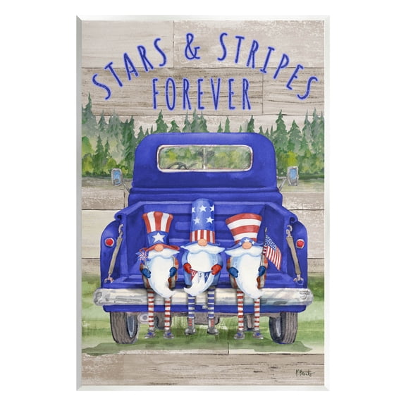 Stars & Stripes Forever Americana Gnomes Holiday Graphic Art Unframed Art Print Wall Art