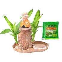 10ml Brazil Wood Hydroponic Tree Stump With Dolls and Tray Magical Sprouting Bonsai Mini Potted Desktop Ornament For Home Air Purification