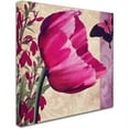thumbnail image 2 of Trademark Fine Art " Pink Poppy II " Canvas Art by Color Bakery, 2 of 3