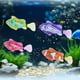 thumbnail image 4 of Juguete de Pescado Eléctrico, Peces en Movimiento Artificiales Liderando Agua Luminosa Activada para la Piscina, 4 of 7