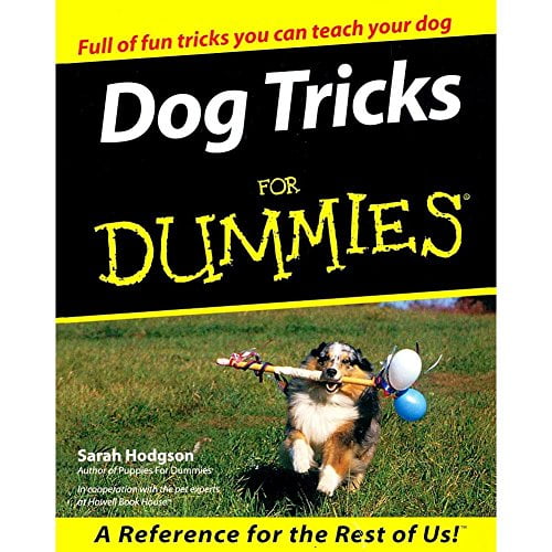 Pre-Owned Dog Tricks for Dummies (Paperback) 0764552872 9780764552878