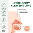 thumbnail image 2 of Herbal Lung Cleanse Spray Mist-Powerful Lung Support Clean Inflammation Relieve Spray Herbal Sore Quit Smoking 20ml Throat, 2 of 5