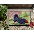 thumbnail image 3 of Carolines Treasures SS8612MAT Paillasson Intérieur Extérieur 18 x 27 Po. Tibetan Mastiff, 3 of 4