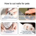 thumbnail image 4 of Dog Nails Clippers and Trimmer-Professional Pet Grooming Tool,Cat Nail Scissor,Sharp Blades,Safety Guard to Avoid Overcutting,Free Nail File,blue, 4 of 5