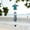 Blue, variant on Liffy Sea Turtle Wind Chimes, Glass & Metal Outdoor Garden Decor, Green