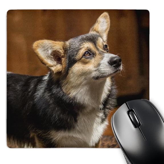 3dRose, Six month old Corgi puppy posing on a lawn chair. , MousePad