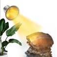 thumbnail image 2 of High-Quality Reptile Heating Lamp - Promotes Calcium Absorption, Energy 50Ｗ-120Ｖ, 2 of 4
