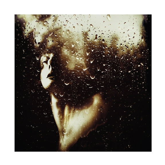 Canvas Wall Art - Inga Ivanova 'Golden Emotion' Wall Art for Living Room, Bedroom, or Office D?cor by Trademark Fine Art - 14 x 14 Inches