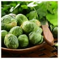 thumbnail image 4 of Everwilde Farms - 1/4 lb Long Island Improved Brussels Sprouts Seeds - Gold Vault Bulk Seed Packet, 4 of 4