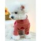 thumbnail image 1 of Valentine's Day 1pc Pet Love Heart Striped Base Shirt, 1 of 5