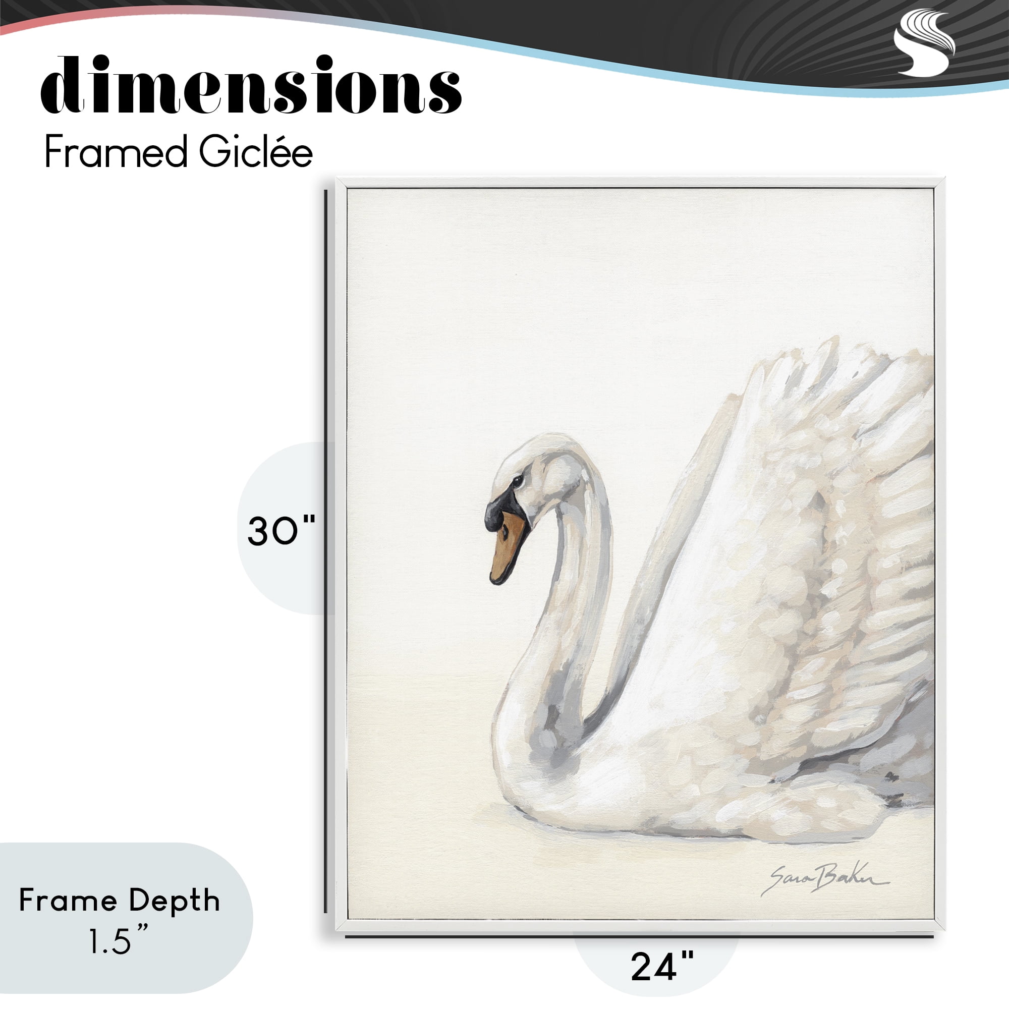 Stupell Industries White Swan in Repose White Framed Giclee Art, design by Sara Baker