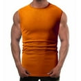 thumbnail image 3 of Windfall Men's Sleeveless Tank Tops Breathable Soft Cotton Round Neck Sleeveless Workout T Shirts Fitness Bodybuilding Shirts, 3 of 8