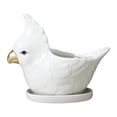 thumbnail image 1 of 1 Set Flower Planter with Tray Cartoon Parrot Flowerpot Succulent Container, 1 of 8