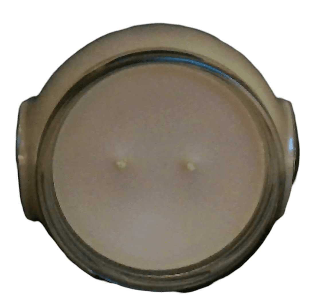 Tyler Candle Company - Mediterranean Fig - 22oz jar candle - with Tyler matches
