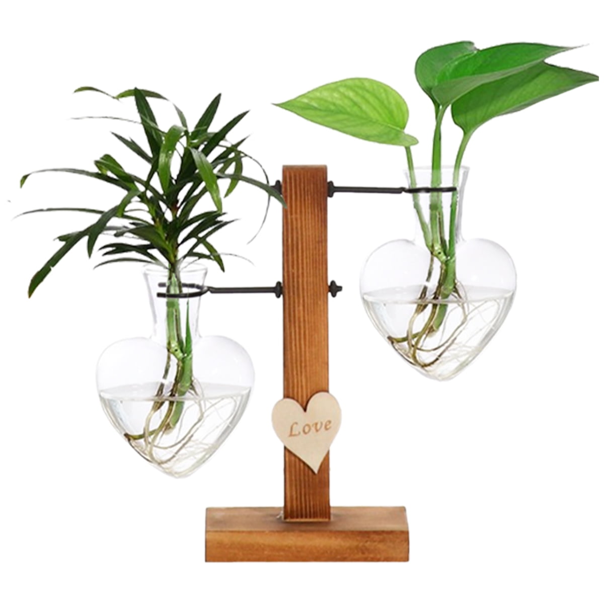 Eummy Glass Plant Terrarium with Wooden Support Stand Creative Heart