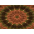 thumbnail image 1 of Ahgly Company Indoor Rectangle Patterned Mahogany Brown Area Rugs, 3' x 5', 1 of 1