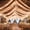 Champagne Ceiling Drapes + Lights String, variant on Ivory Ceiling Drapes with Lights String for Weddings, 6 Panels 5ftx10ft Sheer Tulle Backdrop Photo Background Drapes for Wedding Ceremony Birthday Party Arch Decoration