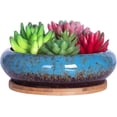 thumbnail image 6 of Ceramic Succulent Pots: 7.3 inch Large Shallow Planter, Bonsai Pots Succulent Planters with Drainage Hole, Round Glazed Garden Decorative Cactus Flower Plant Container Bowl (Red), 6 of 10