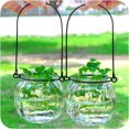 thumbnail image 3 of 2PCS Hanging Glass Vase Creative Lovely Plant Terrarium Hanging Terrarium, 3 of 8