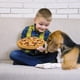 thumbnail image 5 of 9 Piezas Pizza Set para Niños Pizza de corte de juego de juguetes Niños simulación de pizza con plato de comida Set Educativo Montessori Juguetes Jugar Juego de juguetes de alimentos para los niños, 5 of 5