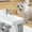 White, variant on Nebwoak Cat Water Fountain, Filtered Quiet Automatic - No Wet Mouth, Easy to Clean for Busy Owners & Cats