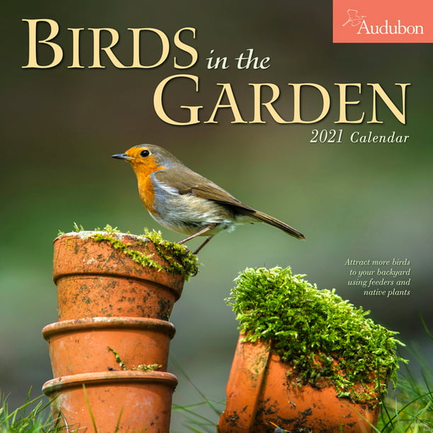 audubon-birds-in-the-garden-wall-calendar-2021-walmart-walmart